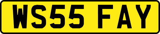 WS55FAY
