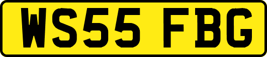 WS55FBG