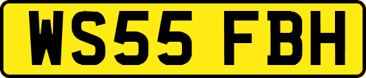 WS55FBH