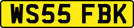 WS55FBK