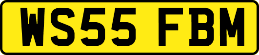 WS55FBM