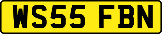 WS55FBN