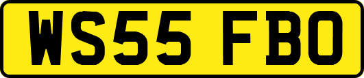 WS55FBO