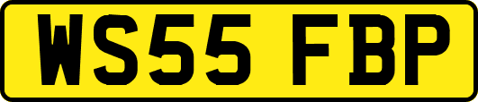 WS55FBP