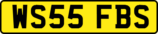 WS55FBS