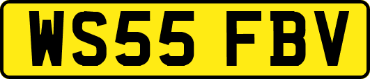 WS55FBV