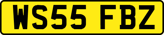 WS55FBZ