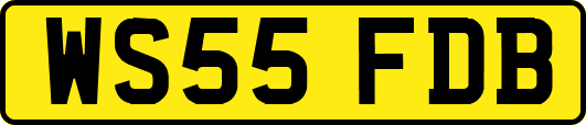 WS55FDB