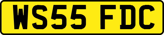 WS55FDC
