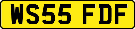 WS55FDF