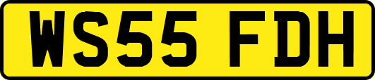 WS55FDH