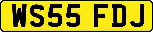 WS55FDJ
