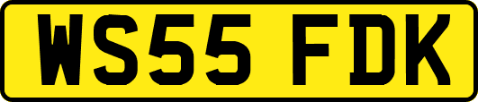 WS55FDK
