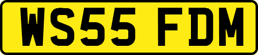 WS55FDM