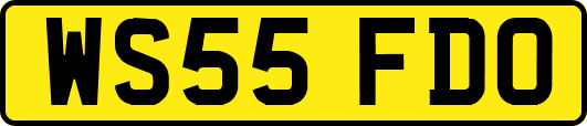 WS55FDO