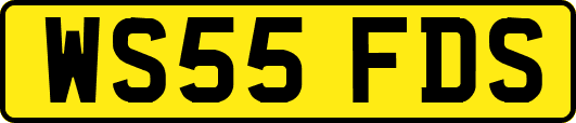 WS55FDS