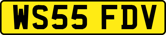 WS55FDV