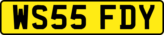 WS55FDY