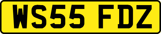 WS55FDZ