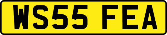 WS55FEA