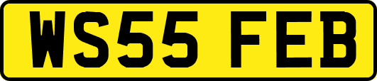WS55FEB