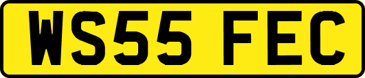 WS55FEC