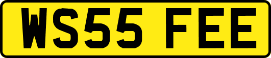 WS55FEE