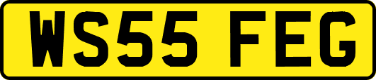 WS55FEG