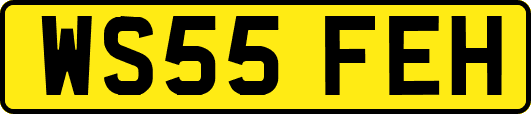 WS55FEH