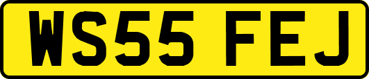 WS55FEJ