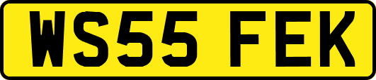 WS55FEK