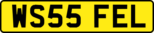 WS55FEL