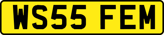 WS55FEM