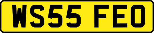 WS55FEO