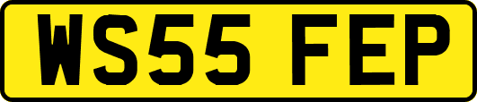 WS55FEP