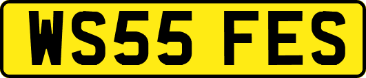 WS55FES