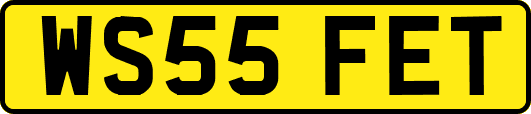 WS55FET