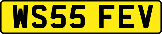 WS55FEV