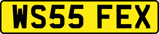 WS55FEX