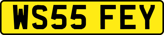 WS55FEY