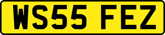 WS55FEZ
