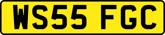 WS55FGC
