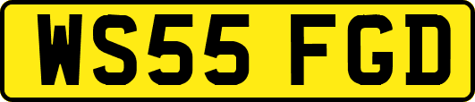 WS55FGD