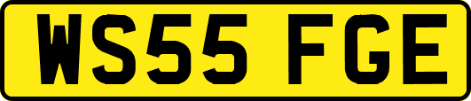 WS55FGE