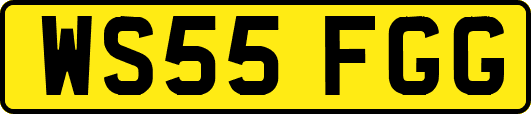 WS55FGG
