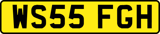 WS55FGH