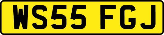 WS55FGJ