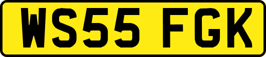 WS55FGK