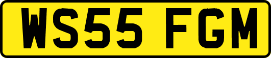 WS55FGM