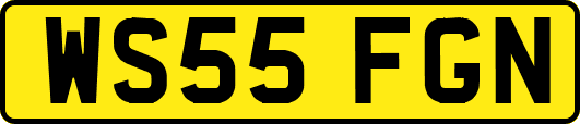 WS55FGN
